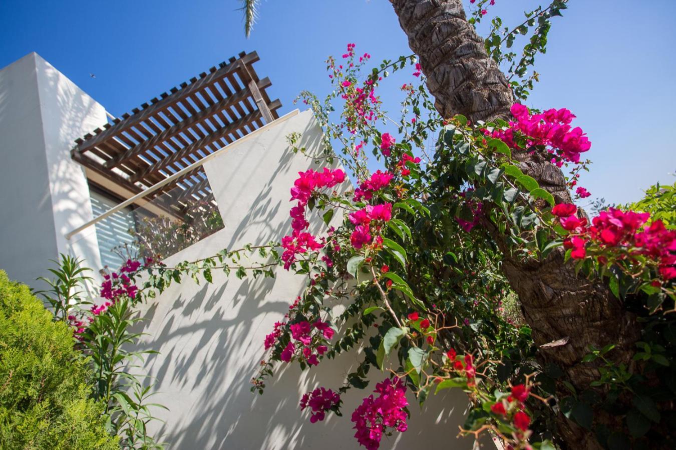 Penthouse Duplex Overlooking The Mediterranean Lárnaca Exterior foto